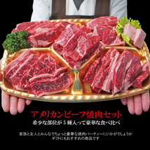 【送料無料】 嬉しいプレゼントにも牛肉焼肉カルビ食べ比べ５点盛り合わせ1kｇ※2セット同時購入で肉500g増量中 赤身からジュージな_画像7