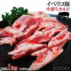 イベリコ豚中落ちカルビリブフィンガー1kg冷凍 焼肉用 2セット購入でお肉増量中 バーベキュー　国産豚肉に負けない味わい