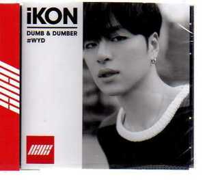 C4210・DUMB&DUMBER／iKON AVC1-58423