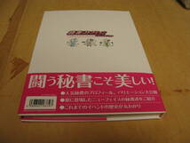 秘書コレクション　ビジュアルブック　KONAMI　コナミ　極秘資料　GREE_画像2