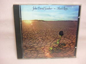 CD★送料100円★AOR ジョン・デヴィッド・サウザー　JOHN DAVID SOUTHER・BLACK ROSE 全１０曲　　８枚同梱ＯＫ