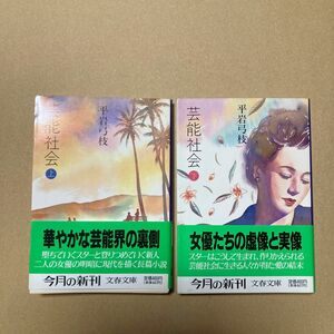 芸能社会　上 &下 2冊セット（文春文庫） 平岩弓枝／著