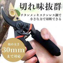 剪定ばさみ 高級 剪定バサミ 剪定鋏 枝切バサミ 園芸用品 庭 ガーデニング おしゃれ 庭作り はさみ 強力 ハサミ 鋏 枝切り ガーデン_画像3