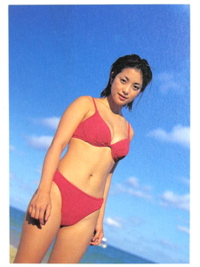* postcard *[ Komukai Minako ]* week Young Sunday DVD[Minakographymina Cogu fi-] appendix *