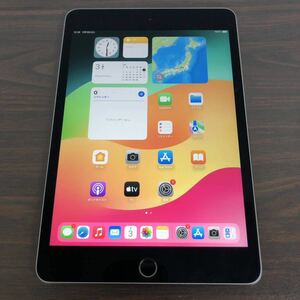 8926【早い者勝ち】電池良好☆iPad mini5 第5世代 256GB WIFIモデル A2133 ☆☆