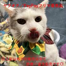 ★猫用ザビエルカラー ＴＲ-７_鬼滅の刃 Demon Slayer４種４柄 ／ 鈴入りタイプ Xavier Collar with Bell for Cat_画像8