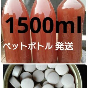 PSB（光合成細菌）1500ml ＆　エビオス30錠 (の出品です。バクテリア メダカ らんちゅう金魚 熱帯魚 ゾウリムシ　めだか