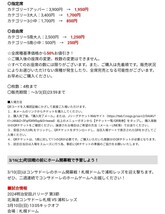 2024明治安田J1リーグ 第4節 北海道コンサドーレ札幌 VS FC町田ゼルビア 3月16日(土) 14:00キックオフ 札幌ドーム 50％割引クーポン_画像2