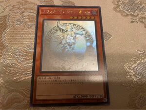 ブラックマジシャンガール　ホロ　 遊戯王