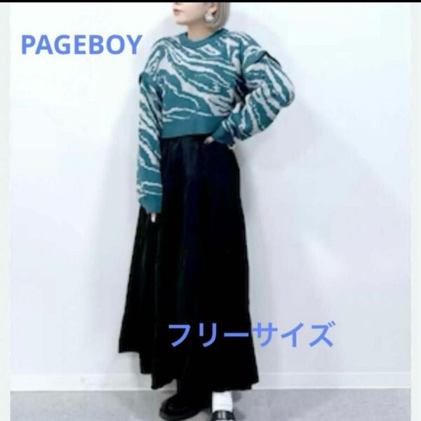 【ページボーイ】PAGEBOY クロップド丈　ゼブラ柄ニット