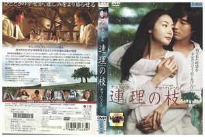 DVD 連理の枝 チェ・ジウ レンタル版 Z3P01213
