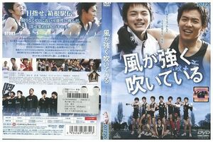 DVD 風が強く吹いている 小出恵介 林遣都 レンタル版 ZM01143