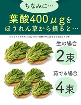 栄養機能食品 葉酸サプリ ６０粒 各種ビタミン マカエキス 西洋タンポポ 亜鉛 鉄 等の必須ミネラル8種 国産野菜10種_画像8