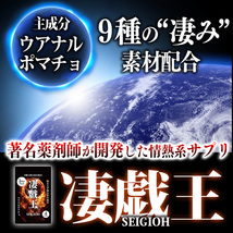 男性サプリ 凄戯王　1daypack　2箱セット　セイギオウ　知る人ぞ知る謎の成分　ウアナルポマチョ　馬ペニス他計9種の漲る系成分配合_画像2