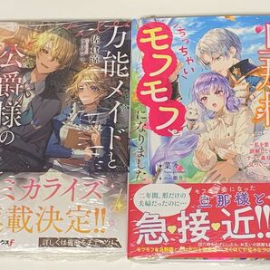 万能メイドと公爵様の楽しい日々 旦那様がちっちゃいモフモフになりました 小説 未開封