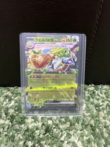 ポケモンカード クエスパトラ ex