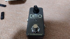 TC Electronic エフェクター Ditto Looper ルーパー