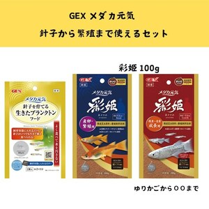 話題の新商品　GEX メダカ元気 「生きたプランクトンフード」・「 彩姫 産卵繁殖用100g」・「 彩姫 成長用 100g 」のセット　