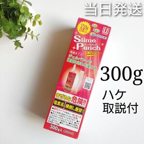 *当日発送* スライムパンチ 300g【新品未開封】正規品 お試し♪♪