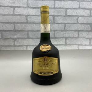 【E-５】VIEIL ARMAGNAC NAPOLEON ヴィエイユ アルマニャック ナポレオン ブランデー 700ml 40% 未開栓