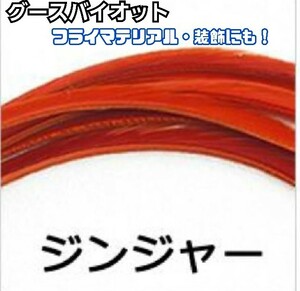 高品質！グースバイオット【ジンジャー】フライマテリアル　装飾にも！　羽根　　フェザー　