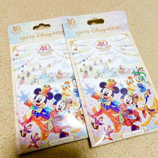 TDL40周年　グランドフィナーレ　キーチェーン　2個セット