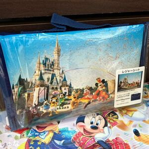 TDL40周年 グランドフィナーレ イマジニング レジャーシート