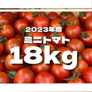 ミニトマト　18キロ　野菜　熊本　おやつ　弁当　おかず　ミネラル　リコピン