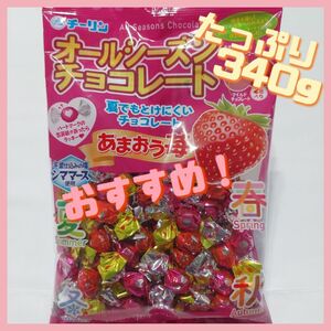 大容量340ｇオールシーズンチョコレートあまおう苺お菓子詰め合わせサービス価格