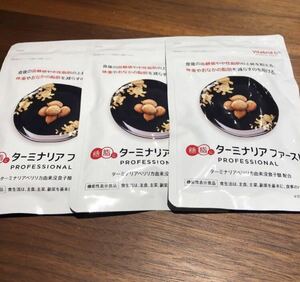 ターミナリアファースト 120粒3袋セット 未開封品 新品 プロフェッショナル サプリ ビタブリットジャパン