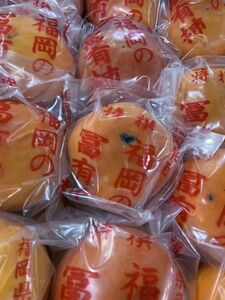 冷蔵柿　2L～Sサイズ　2箱　福岡県産　送料無料！　