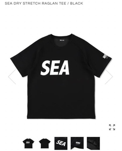 ロイヤル限定オファー 即決!!黒M WIND AND SEAウィンダンシーDRY厚手ドライ生地 STRETCH RAGLAN T-SHIRTラグランTシャツ/発送レターパック