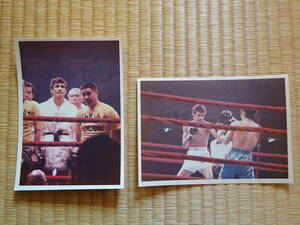are comb s*arugeryo photograph 2L size Royal Kobayashi war boxing nika rug a. ...Andrs Alexis Argello Bohrquez