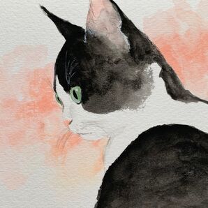 ハチワレ猫 水彩画 イラスト