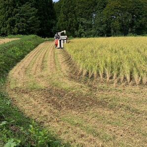 令和5年度 新潟県 魚沼産コシヒカリ 30キロ 玄米白米の画像8