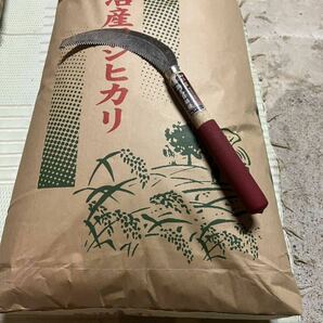 令和5年度 新潟県 魚沼産コシヒカリ 30キロ 玄米白米の画像3