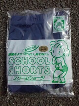 SCHOOL SHORTS スクールショーツ(ブルマ) No.880_画像9