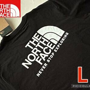 【送料無料】新品ノースフェイス THE NORTH FACE メンズ バックプリント Tシャツ 黒 L【日本サイズL～LL位】 正規品 クールネック Aの画像1
