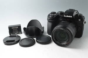 #a1248【美品】シャッター数9696回 Panasonic パナソニック LUMIX DC-G99H 高倍率ズームレンズキット