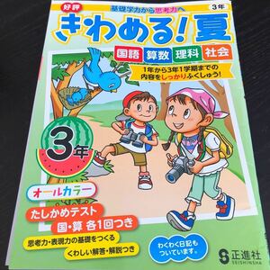 1957 きわめる夏 3年 国語 算数 小学 ドリル 問題集 テスト用紙 教材 テキスト 解答 家庭学習 計算 漢字 過去問 ワーク 勉強 理科 社会