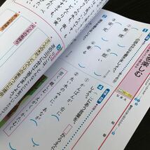 1842 基礎基本国語ALite 3年 日本標準 小学 ドリル 問題集 テスト用紙 教材 テキスト 解答 家庭学習 計算 漢字 過去問 ワーク 勉強 非売品_画像4