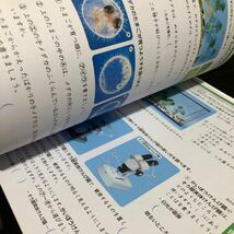 1907 夏にパワーアップ 5年 国語 算数 社会 理科 英語 小学 ドリル 問題集 テスト用紙 教材 テキスト 解答 家庭学習 計算 漢字 ワーク 勉強_画像8