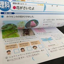 2127 基礎基本の理科A ３年 光文書院 小学 ドリル 問題集 テスト用紙 教材 テキスト 解答 家庭学習 計算 漢字 過去問 ワーク 勉強 非売品_画像5