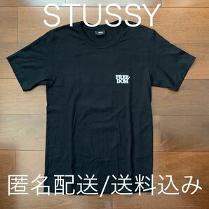 STUSSY ステューシー Tシャツ ブラック 黒 ショーンフォント ビッグロゴ ワールドツアー インターナショナル ラスタ ss