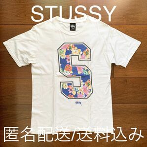 STUSSY ステューシー Tシャツ ワールドツアー ビッグロゴ 8ボール