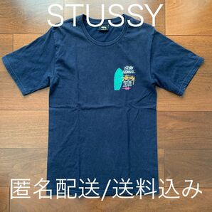 STUSSY ステューシー Tシャツ ネイビー ビッグロゴ オールド ワールドツアー ラスタ inter national