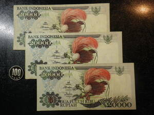 インドネシア 極楽鳥 1995年 20000Rupiah 3枚組 並品＋～美品