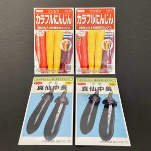 2024年入荷 カラフル人参2パック&ナス真仙中長2パック 2300円相当 タネ 種 家庭菜園