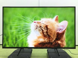 SONY ソニー BRAVIA ブラビア 4K液晶テレビ 49型 外付けHDD対応 VODサービス ドルビーアトモス KJ-49X8000H 2021年製 YD02062MA