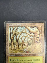 【萬】MTG　ガイアの揺籃の地　マジックザギャザリング　英語版　ウルザズサーガ　Magic The Gathering_画像3